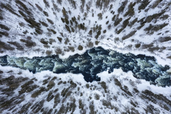 Aerial view over rapids in the river Kitkajoki in winter, Oulanka National Park, Northern