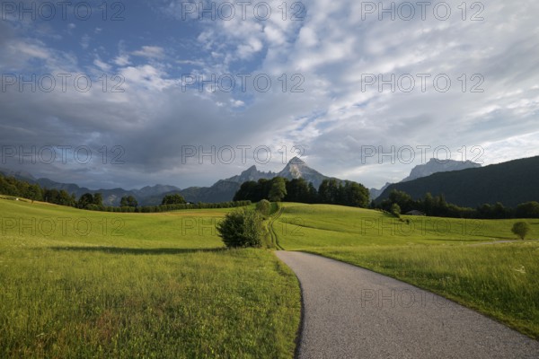 Watzmann at sunset, with meadow and pasture in summer, sunbeams and clouds. Berchtesgaden, Bayern,