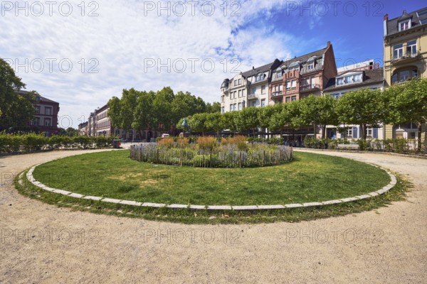 Garden area, round flower bed, lawn, trees, green spaces, paths, general architecture, buildings,