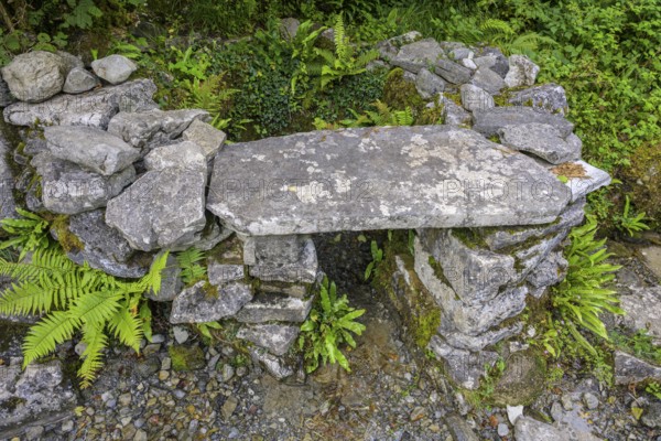 Sacred spring at St Colman's Chapel, Burren, Keelhilla, Carran, County Clare, Ireland