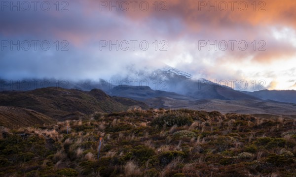 Volcanic landscape, Tama Lake Walk (Tama Lakes Track), Mt Ruapehu in clouds, evening light, sunset.