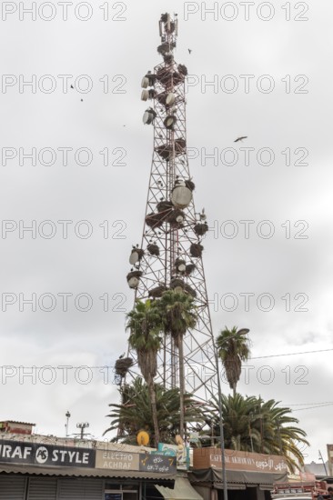Tall radio tower with satellite dishes and palm trees in an urban setting under cloudy skies in