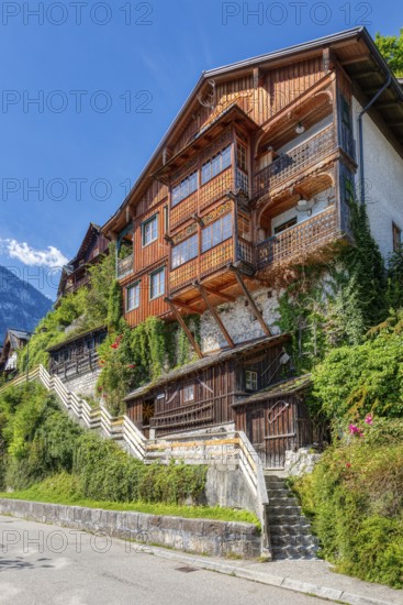 A, Hallstatt, hdr, A traditional wooden house covered with ivy, along a staircase under a blue sky,