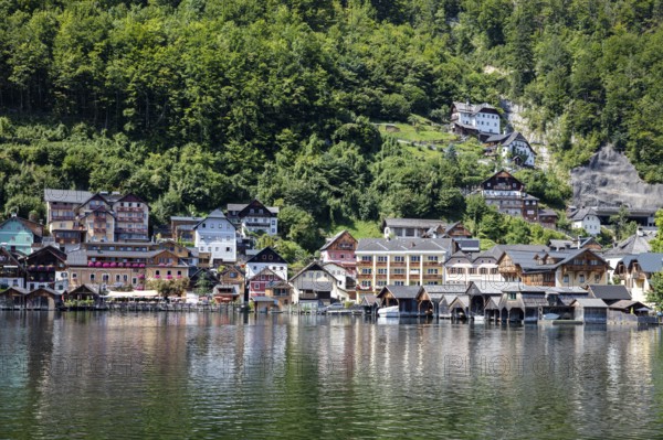 A, Hallstatt, Traditional wooden houses on the shore, surrounded by lush greenery and water,