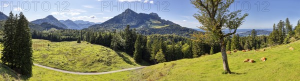 D, Heuberg, Pano, HDR, K