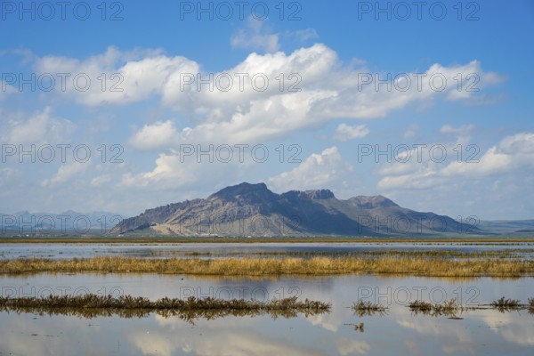 Peaceful mountain landscape with reflecting water and grassy shores under blue sky, Dogubayazit