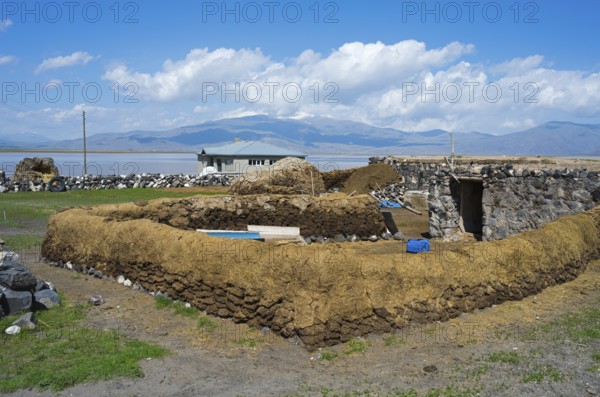 Rustic landscape with traditional clay construction and meadow under clear sky, cow dung to dry and