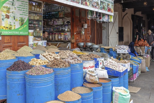 Market stand with a variety of spices and dried herbs in blue barrels