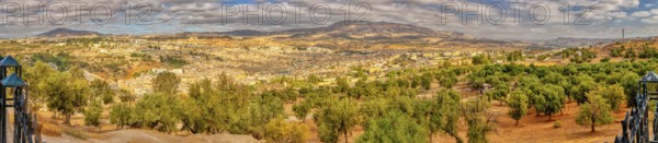 Wide mountain landscape with olive groves under a vast sky