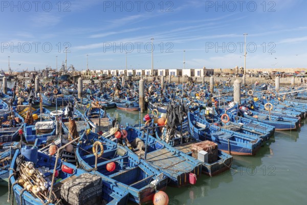Lively fishing port with lots of blue boats, the water glitters under the sun
