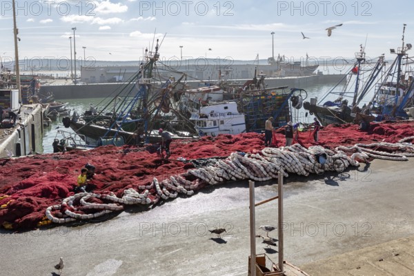 Harbour view with red fishing nets in the foreground, adjacent fishing boats and seagulls in the