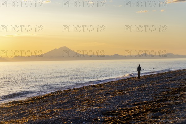 Young man walking along the beach at sunset, view across Cook Inlet to white mountain peaks of