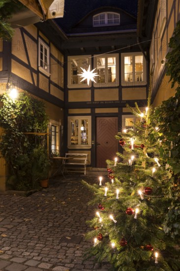 Decorated Christmas tree and Herrnhut star on a half-timbered house in the historic village center
