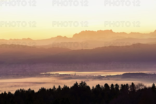 View from Horben of Lake Zug with the city of Cham and Zug covered in fog, behind it the