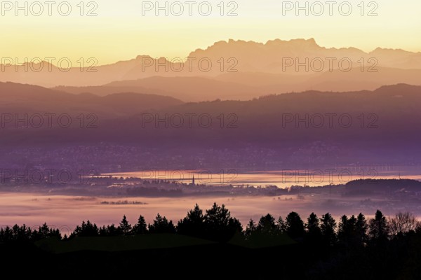 View from Horben of Lake Zug with the town of Cham and Zug, behind it the snow-capped mountains
