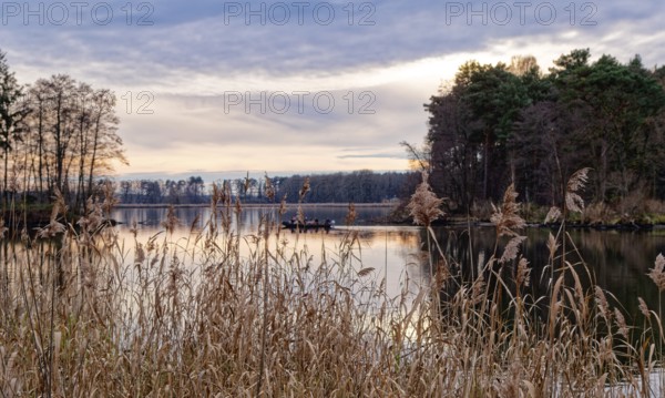 Neuendorfer See in the evening near Alt Schadow, Märkische Heide, in the Spreewald UNESCO Biosphere