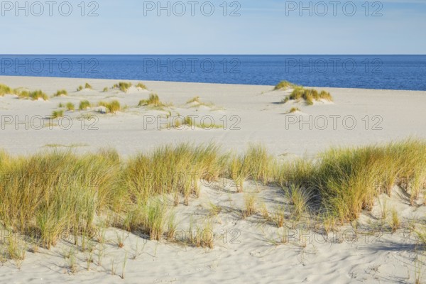 Sand dunes and an elbow beach on the island of Sylt, Germany