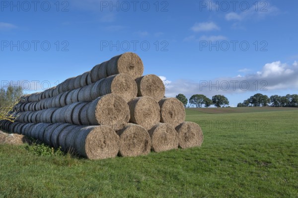Stacked round straw bales from the agricultural cooperative on a meadow, Othenstorf,