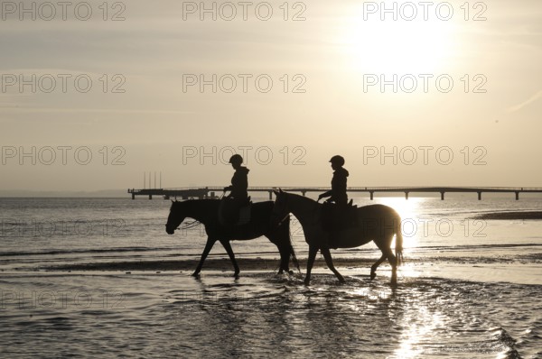 Two female riders ride their horses through the shallow water of the Baltic Sea at sunrise,