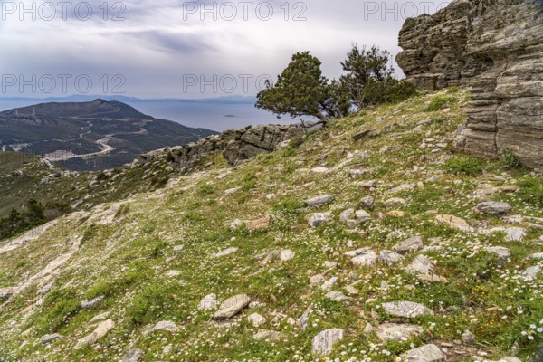 At the prehistoric Drakospita dragon houses on Mount Ochi near Styra, the island of Euboea or Evia,