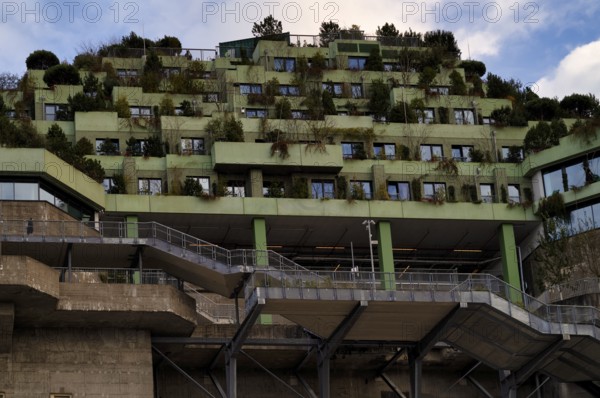 Climate-neutral façade greening, Heiligengeistfeld, Hamburg Bunker, former anti-aircraft bunker, St