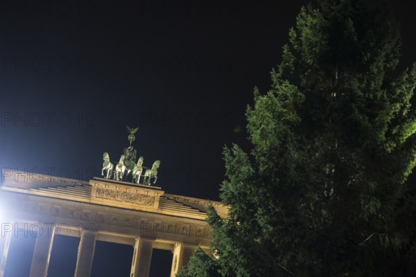 THW volunteers set up the Christmas tree delivered from Thuringia in front of the Brandenburg Gate,