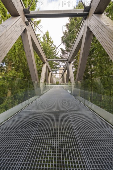Architecturally impressive metal and wood bridge with glass railing against a wooded background,