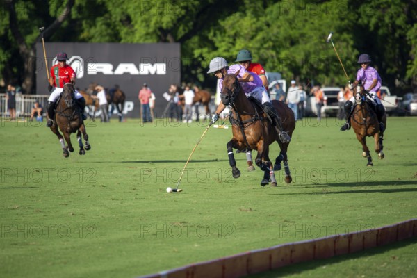 Scene at the 132nd Argentinean Open Polo Championship (Spanish 132nd Abierto Argentino de Polo de