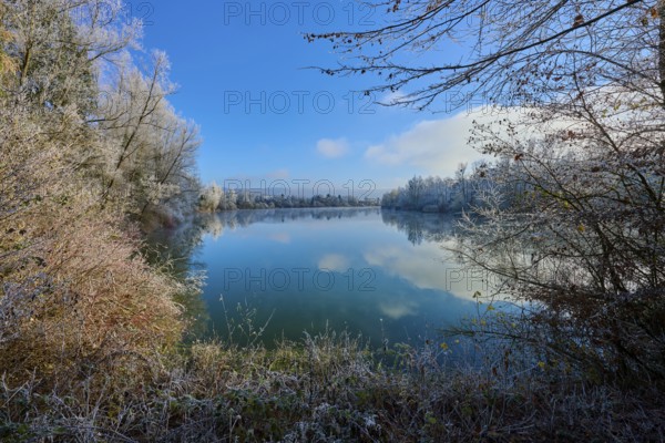 A lake in winter with bare trees and a clear reflection in the water, hoarfrost, winter, Mondsee,