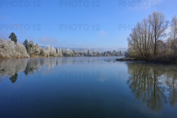 A quiet winter day at a lake with mirror-like water and bare trees, hoarfrost, winter, Mondsee,