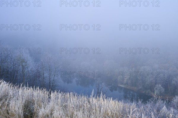 A foggy morning on a river with frost-covered trees and grass, quiet and mystical atmosphere,