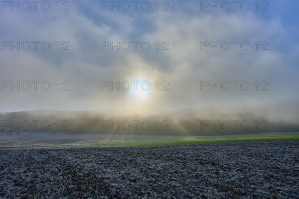 Sunrise through fog over a field with blue sky, hoarfrost, winter, Urphar, Main-Tauber district,