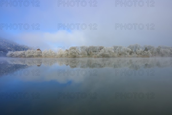 Winter landscape with a view of a clear river and snow-covered rows of trees, hoarfrost, winter,