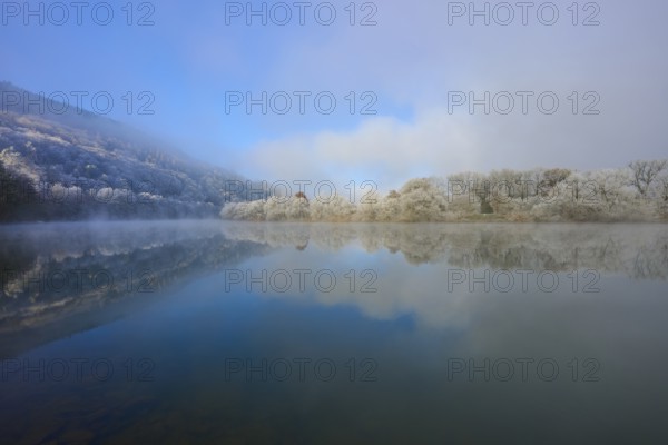 Wintery landscape with fog over a quiet river, tree-lined, hoarfrost, winter, Boxtal,