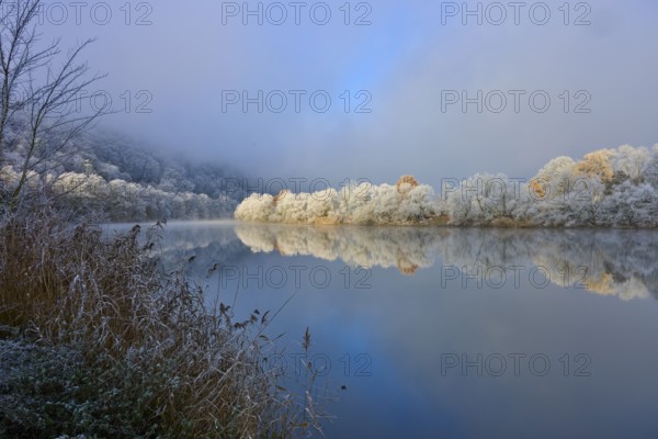 Snowy trees and clear water reflection show a peaceful river landscape, hoarfrost, winter, Boxtal,