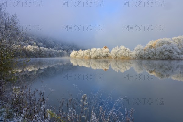 A river with snow-white trees that are reflected in the water. Atmospheric, quiet winter landscape,