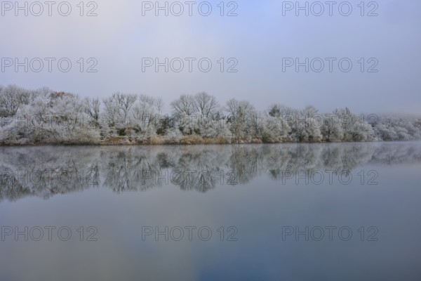 Misty winter landscape with smooth, calm river and snow-covered trees, hoarfrost, winter, Boxtal,