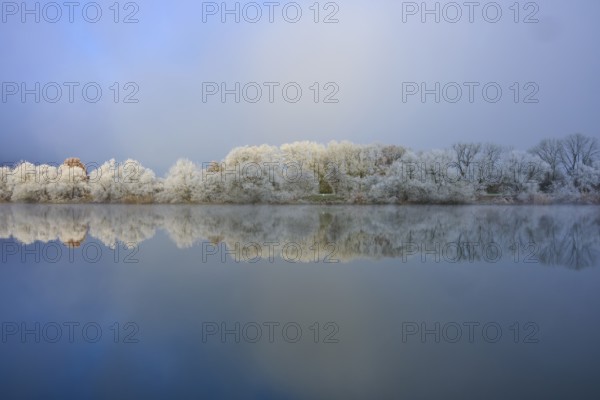 Winter landscape with reflecting trees in a foggy and cloudy river, hoarfrost, winter, Boxtal,