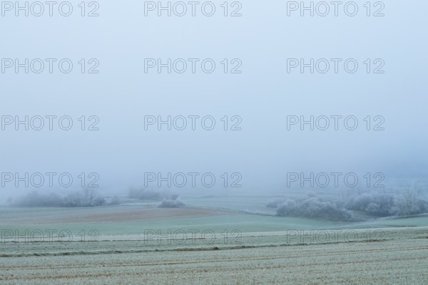 Snowy fields in fog with frosty, cool winter ambiance, hoarfrost, winter, Bürgstadt, Miltenberg,