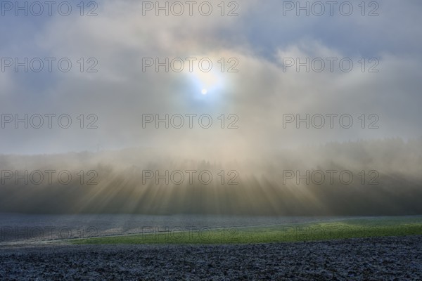 Morning fog over a field with bright sunlight, hoarfrost, winter, Urphar, Main-Tauber district,