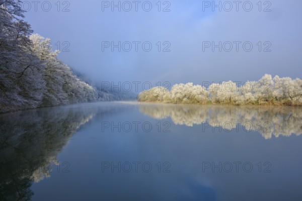 White trees are reflected in the river, which lies in peaceful winter rest under a blue sky,