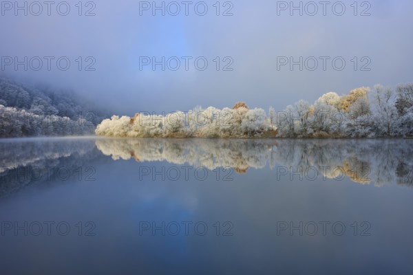 A quiet scene with a mirror-like river and snow-covered trees under a clear, cold sky, hoarfrost,