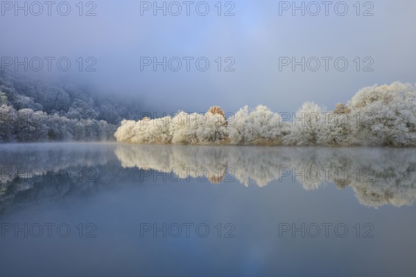 Snowy trees on the river with fog and cool winter atmosphere, hoarfrost, winter, Boxtal,