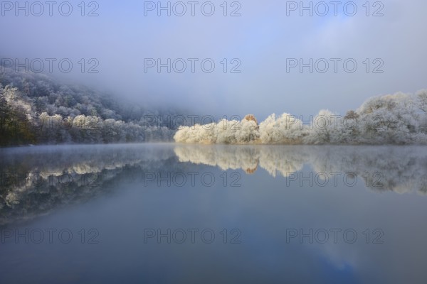 Snowy trees are reflected in the quiet river, surrounded by foggy, overcast sky, hoarfrost, winter,