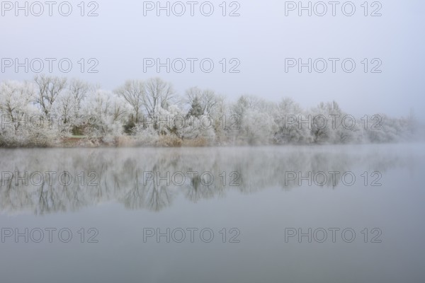 Snowy winter landscape with quietly reflecting trees in the foggy river, hoarfrost, winter, Boxtal,