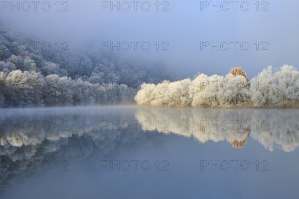 A calm river in winter reflects forests and trees covered in fog, hoarfrost, winter, Boxtal,