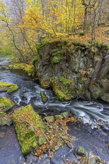 River Bode running through forest showing autumn colours, fall colors at Nature reserve Bode Valley