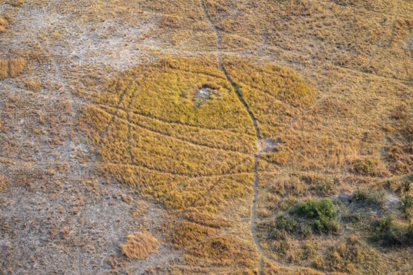 Paths, trails in the countryside, animal trails Aerial view of the Okavango Delta, near Maun,