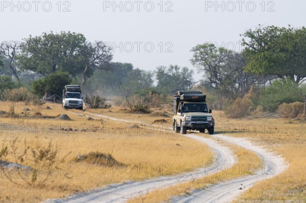 Off-road car, safari car driving on dust road, Third Bridge, Okavango Delta, Moremi Game Reserve,