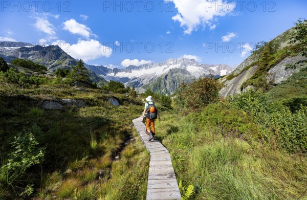 Mountaineers on wooden plank trail through mountain moor, in front of picturesque mountain scenery,
